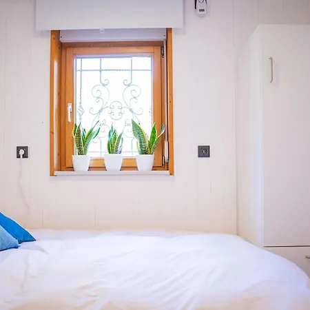 Holiday home Waldseeliebe *